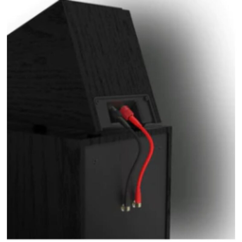 רמקולים רצפתיים R-800F